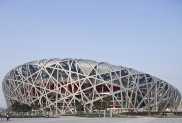Birds Nest