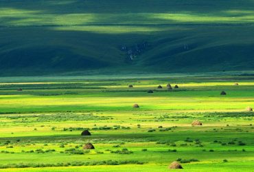 Hulunbuir Grassland-1