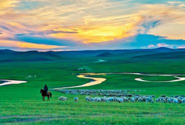 Hulunbuir Grassland