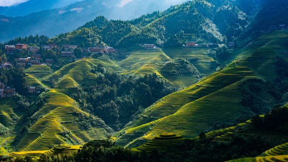 Longji Rice Terraces