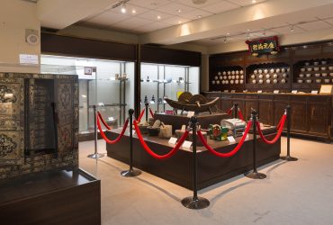 Shaolintang Traditional Chinese Medicine Museum