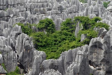 china-the-mysterious-landscape-of-kunming-stone-forest-3