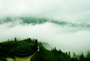 龙脊梯田1