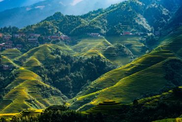 龙脊梯田风光